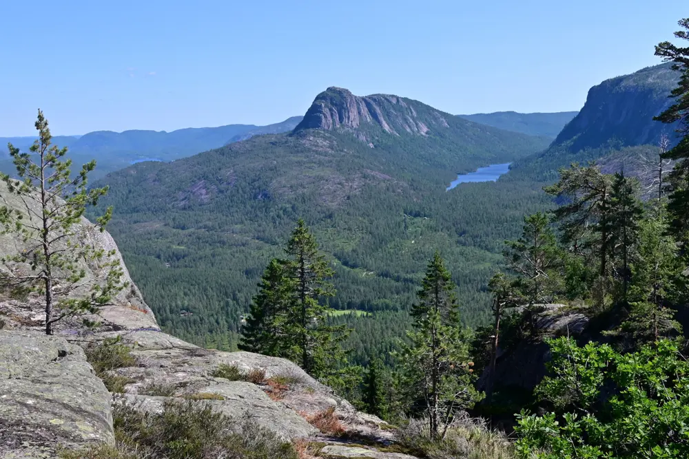 Utsikt mot fjell og skog en sommerdag, blå himmel og sol