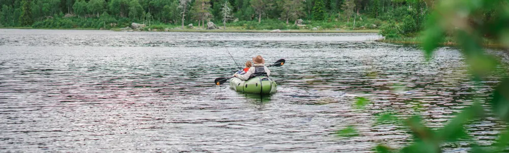 Liomseter og Langsua