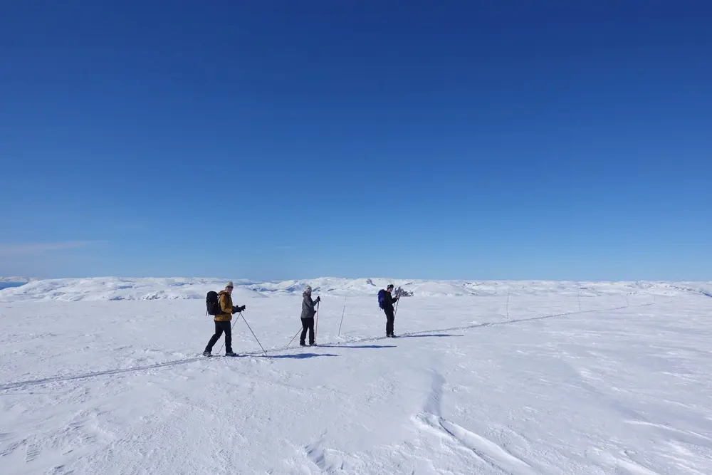 På toppen av Hardangerjøkulen