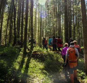 SØRKEDALEN 20190526Tur til Kobberhaughytta fra Sørkedalen skole.Foto: Arash A, Nejad / Nyebilder.no Internasjonal søndagstur til Kobberhaughytta mai-2019. 
