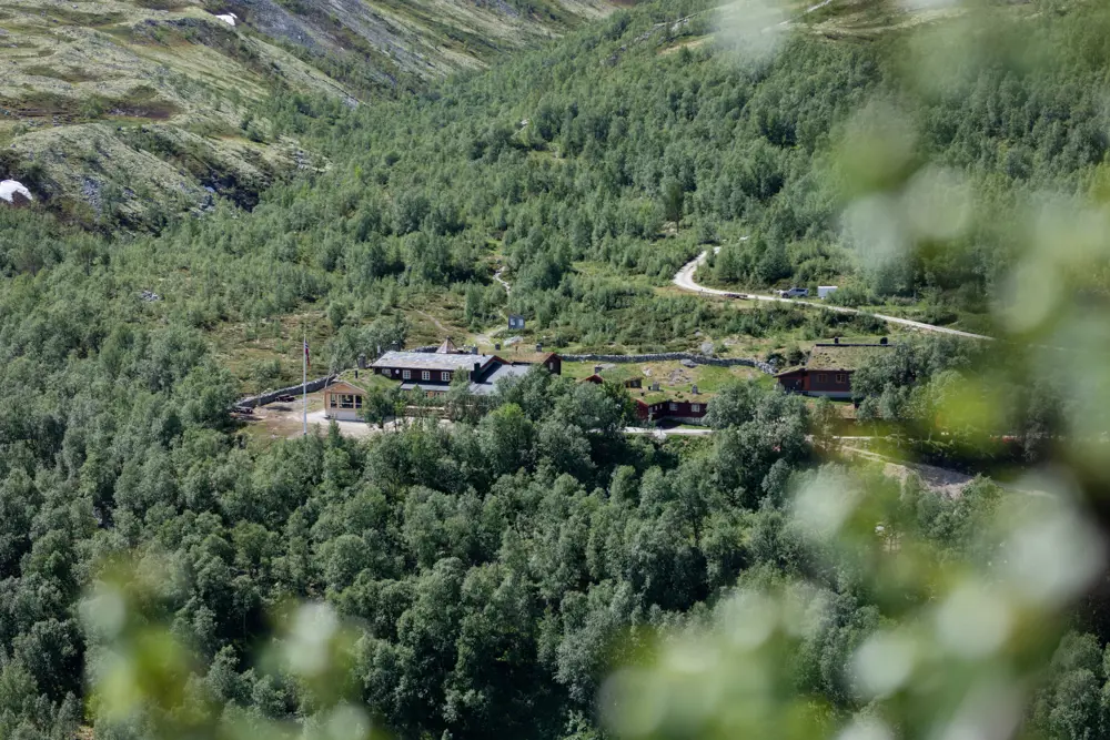 fra ny stueåpning på bjørnholia