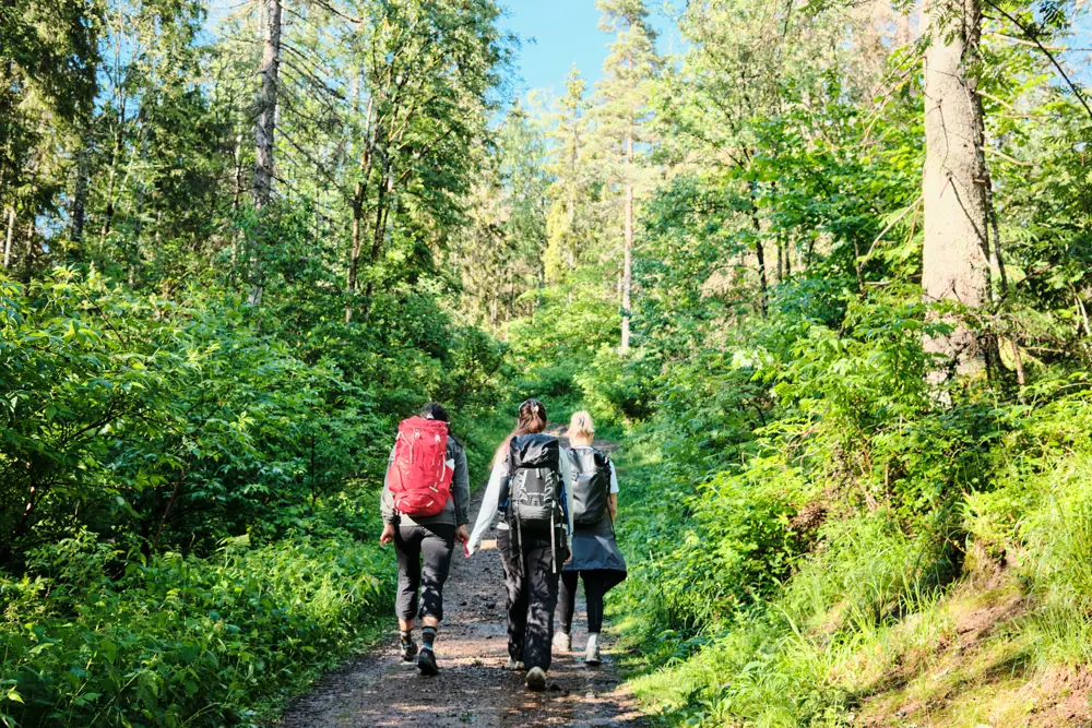 Tre personer som går på en sti i skogen