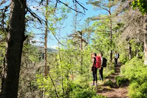 Fuglemyrhytta, juni 2024.