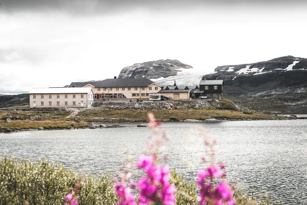 En hytte som ligger ved sjøen. Det er rosa blomster i forgrunnen. 