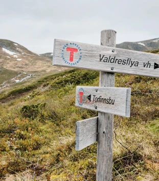 Skiltstolpe i Jotunheimen